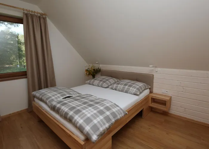 Na Kaszubach - Nad Jeziorem Z Balia I Sauna Lägenhet *