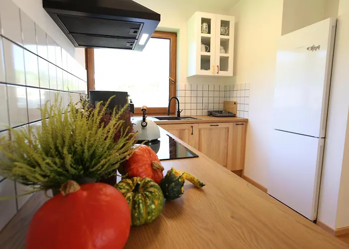 Lägenhet Na Kaszubach - Nad Jeziorem Z Balia I Sauna